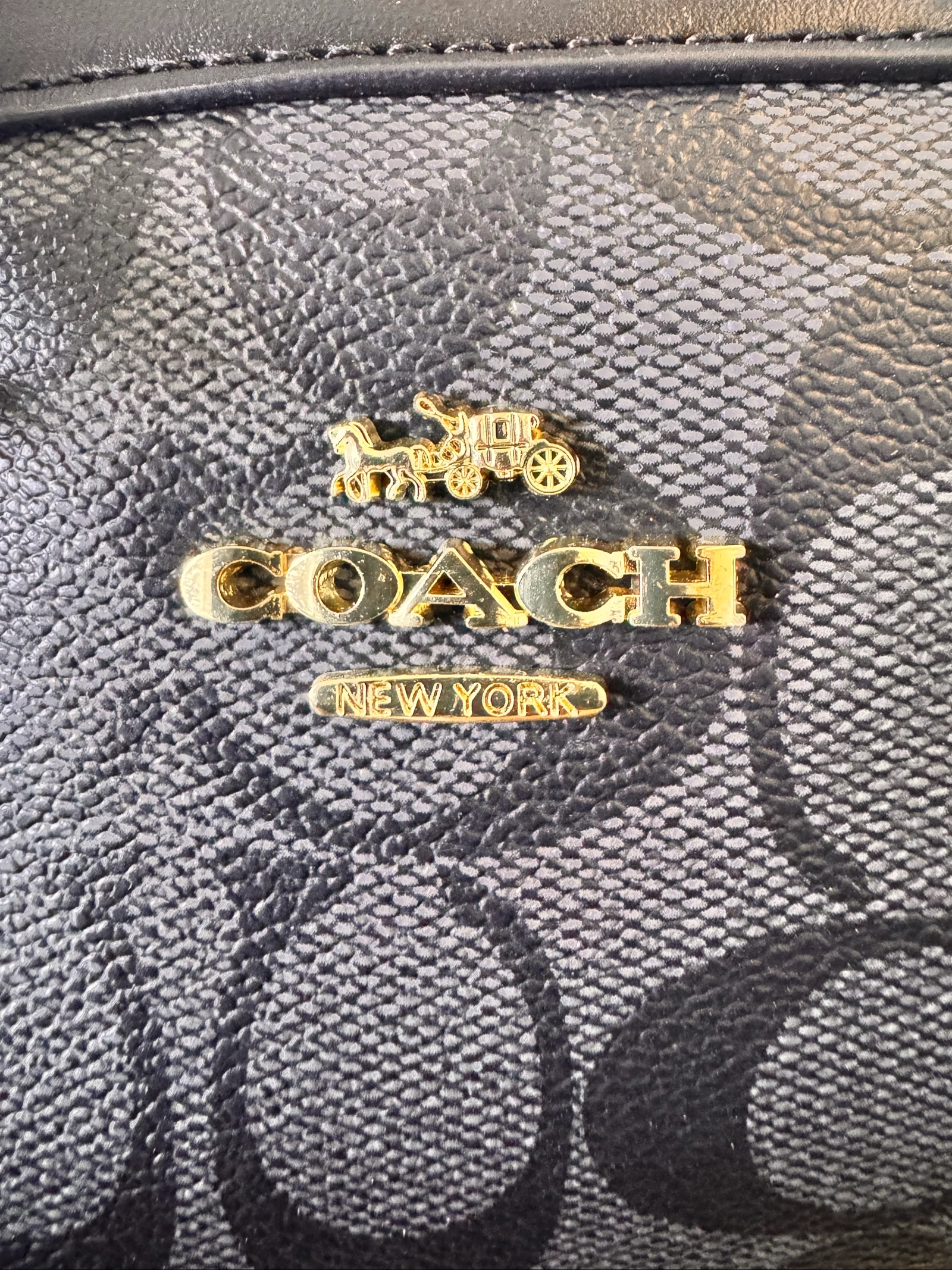 Saco coach – photo 2